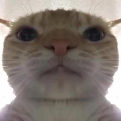 Alguém sabe o nome?