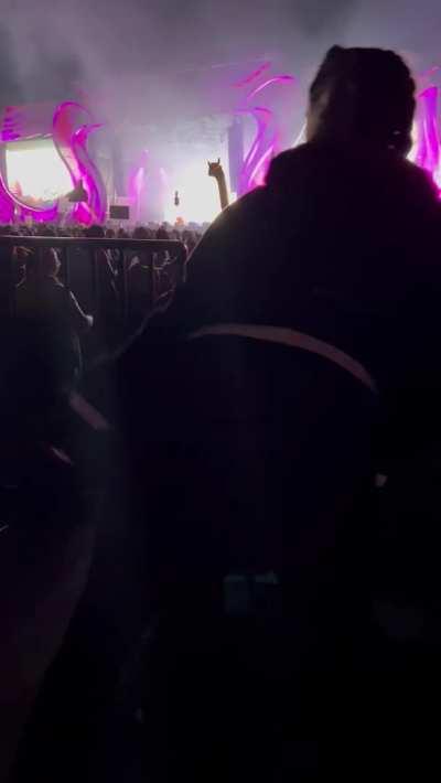 Can I throw my ass on you at a festival