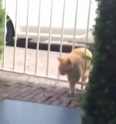 Those hips don't lie.