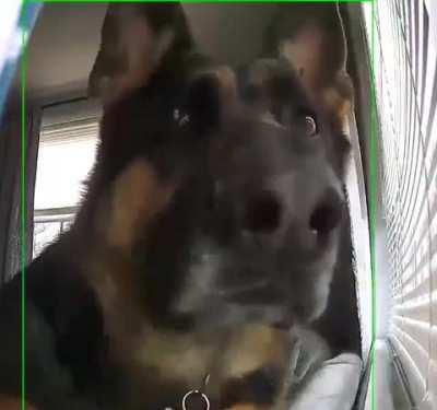 Motion detecting cameras doing what they do..