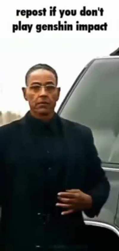 don't play genshin impact