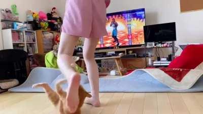 Interrupting an exercise