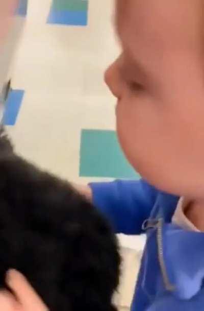 You messed with the wrong one