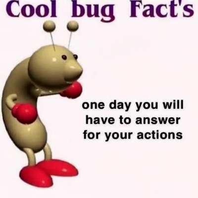 Cool bug fact's 😁