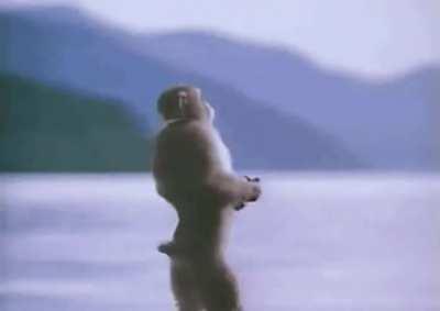 At peace forevermore…