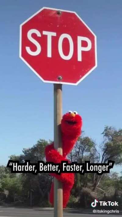 LONG ELMO FOR PRESIDENT