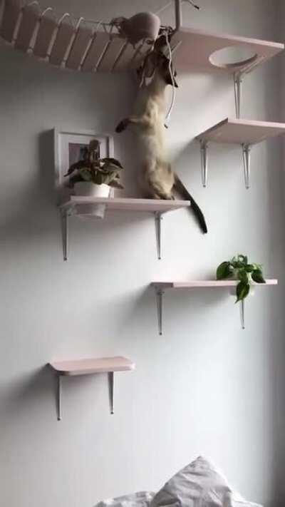 Valla bende o sütyen için öyle zıblardım