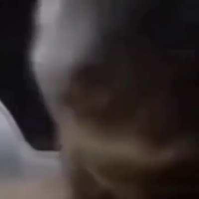 Chipi chipi chapa chapa