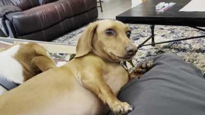 Sherman is such a drama queen