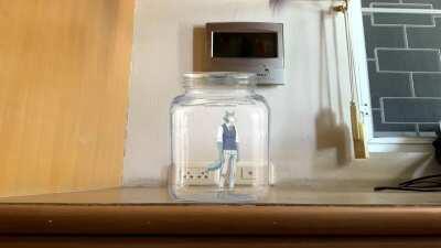 W-why is Legoshi in... the Jar™