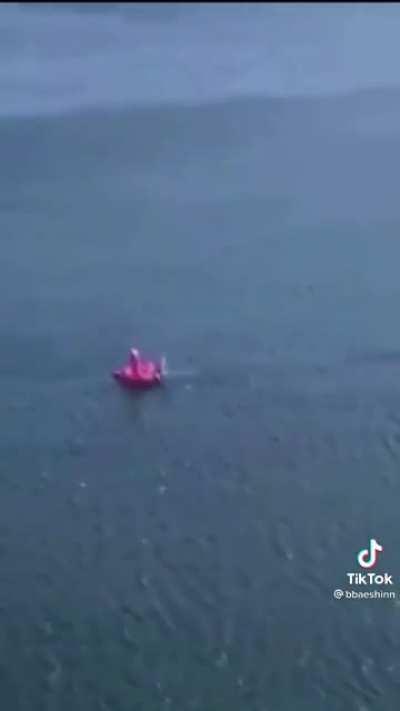 to float in a pink flamingo