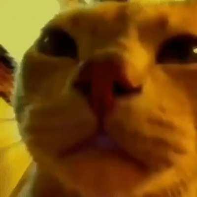 IF I LOSE IT ALL, SLIP AND FALL I WILL NEVER LOOK AWAY!!!