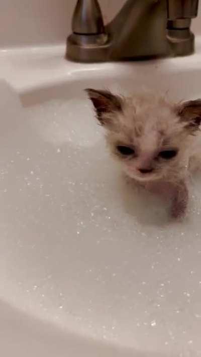 I peed everywhere and had to get a bath, I had a lot to say.