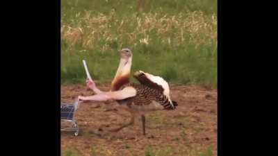 I smile every time i see this. I hope this brightens your day too.