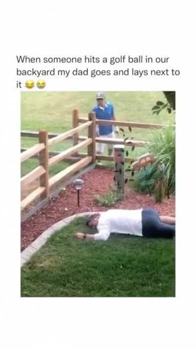 The ultimate Dad joke?