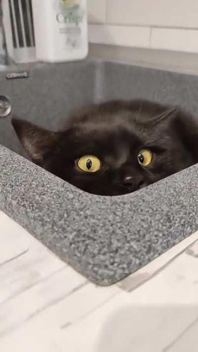 You can never be too careful to what lurks in the sink 😂