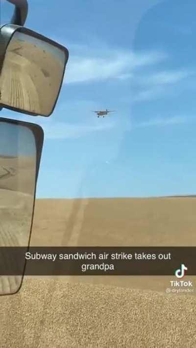 eLdErlY mAn gEts aNniHaLatEd bY saNdWiCh aIrsTriKe