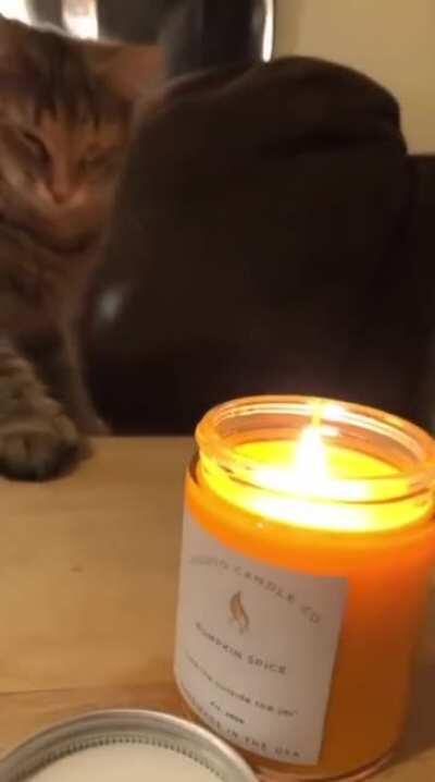 Like Icarus flying too close to the sun