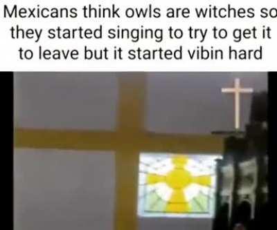 Why does this feel like a funny boys joke