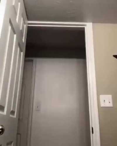 Since SR loves their weird humour I thought I'd share this here 🤣