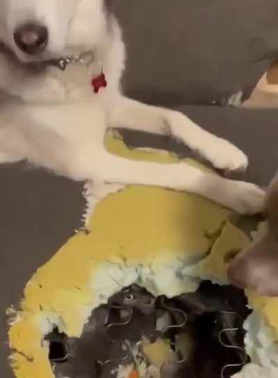 It's not what you thought mommy 🤣