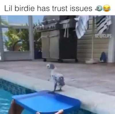 This lil bird has trust issues