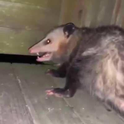 Give him a minute he’s thinking...