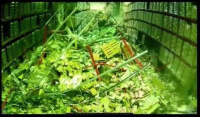 How about an ABSOLUTE UNIT (of a fuck-up)