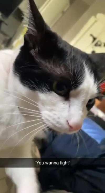 He did in fact want to fight