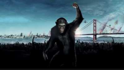 🚀This is ENDGAME🚀 (update 2/3), final update comes after the squeeze😉 see you on the moon apes🦍