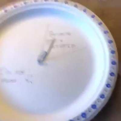 What should I do today?