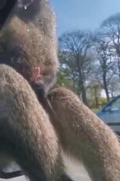 A self sustained life for singles out there