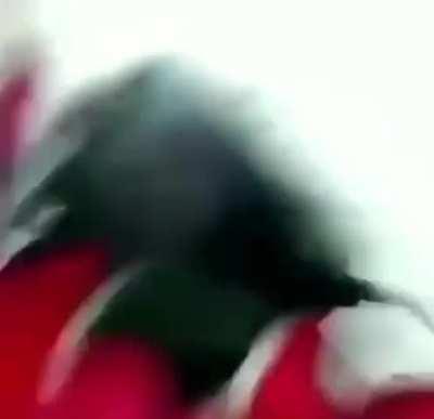 Vamo um web sexo woods?