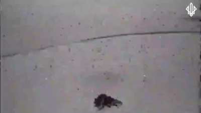 Ukraine's National Guard 3rd Brigade 