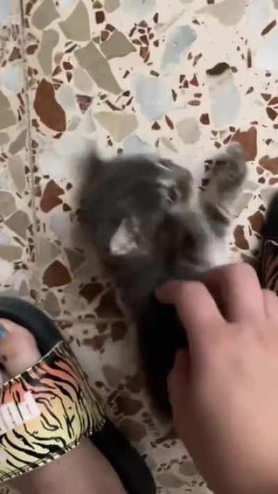 officer, help! I've caught the suspect