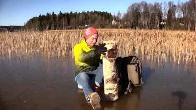 When you tap a log on the ice