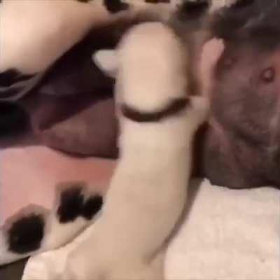 Nothing is better than drink milk