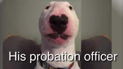 POV: you’re 69’s probation officer