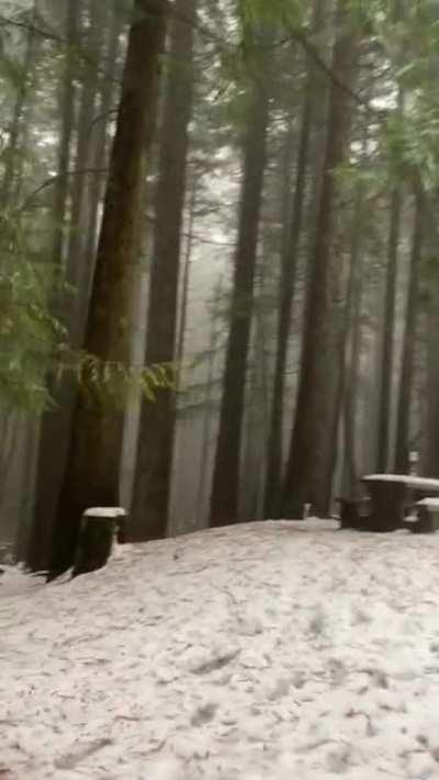 The climbs this time of year are pretty sweet