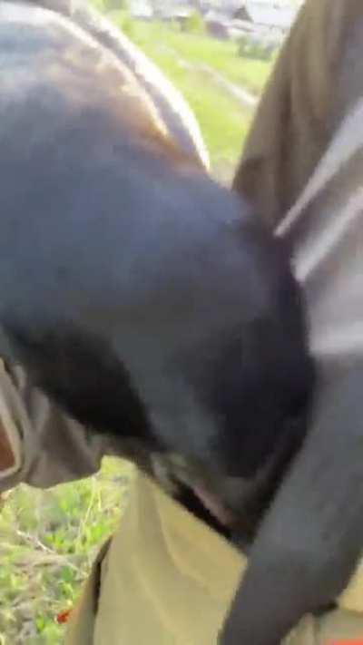 Here human... these are for you cuz I love you