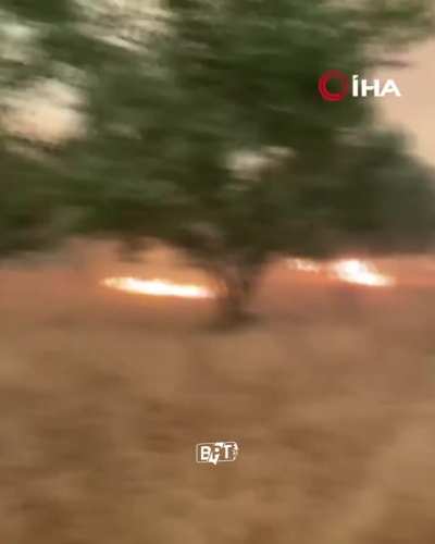 The forest fire has spread to residential areas. Footage shows citizens being evacuated from the area as they are trapped by the flames. Sakarya/Turkiye 23.07.2025