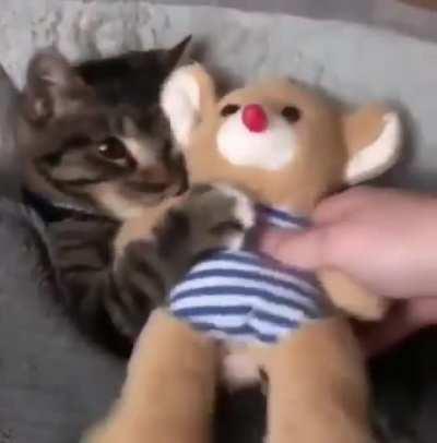 While I hold my teddy