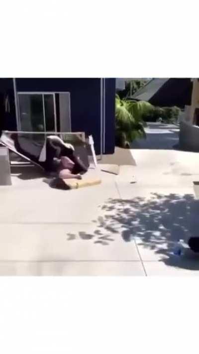 I wonder what was going through her head!