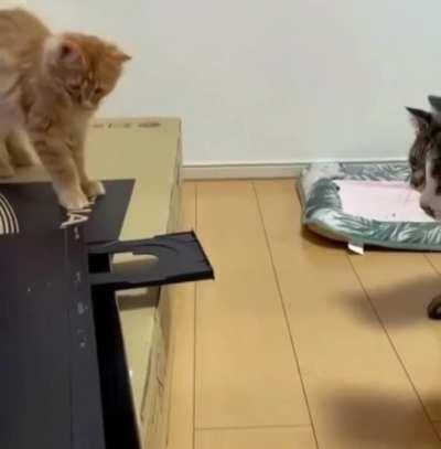 What is that evil thing