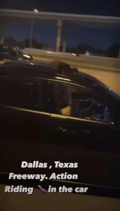 rides in the car on the highway