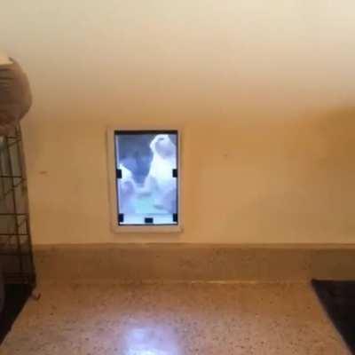 No time for losers when the dinner bell rings.