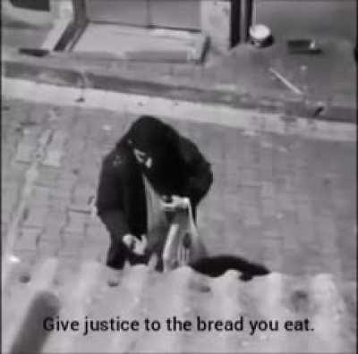 Drunk turkish guy arguing with a street dog about communism and narcissism (Better translation in the comments)