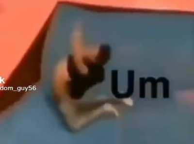 Idk what to post 🤷🏼