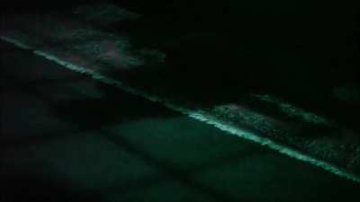 Walt Disney World's Music Room