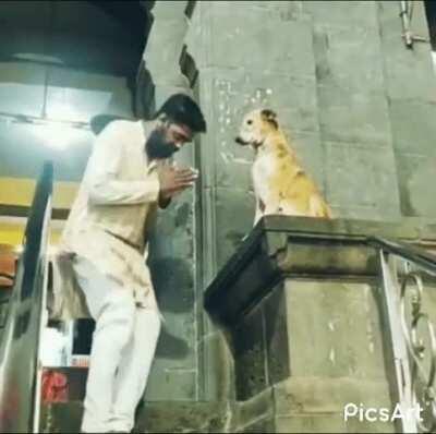Stray dog giving blessings to strangers at an Indian temple